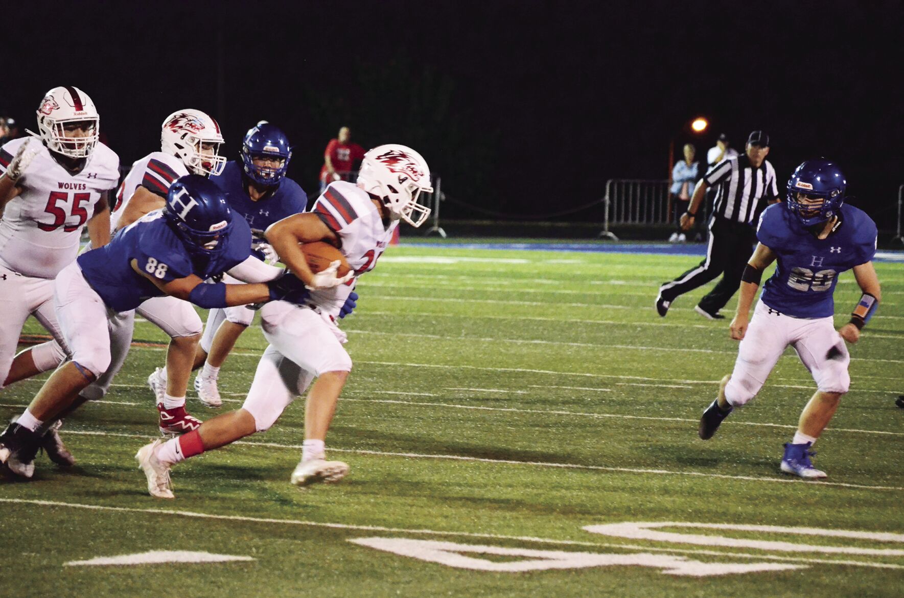 Hollister Reeds Spring 1